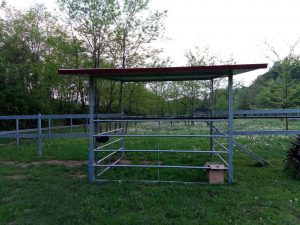 Capannina con base Bisson