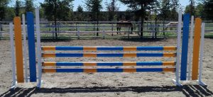 Composizioni eseguite Vanni Bisson Equitazione