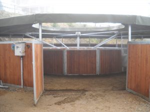 cavalletti Giostra per cavalli Bisson