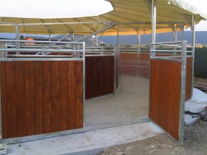Giostra cavalli legno