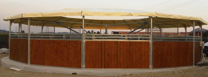 Giostra 4 cavalli Bisson