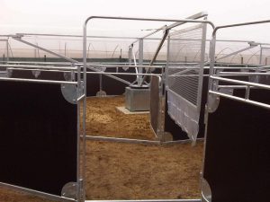 Cancelletto entrata giostra per equitazione