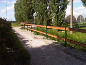 Recinzione inglese cavalli Bisson