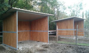 Box tre lati per cavalli Bisson