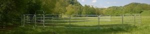 Tondino Fence animali