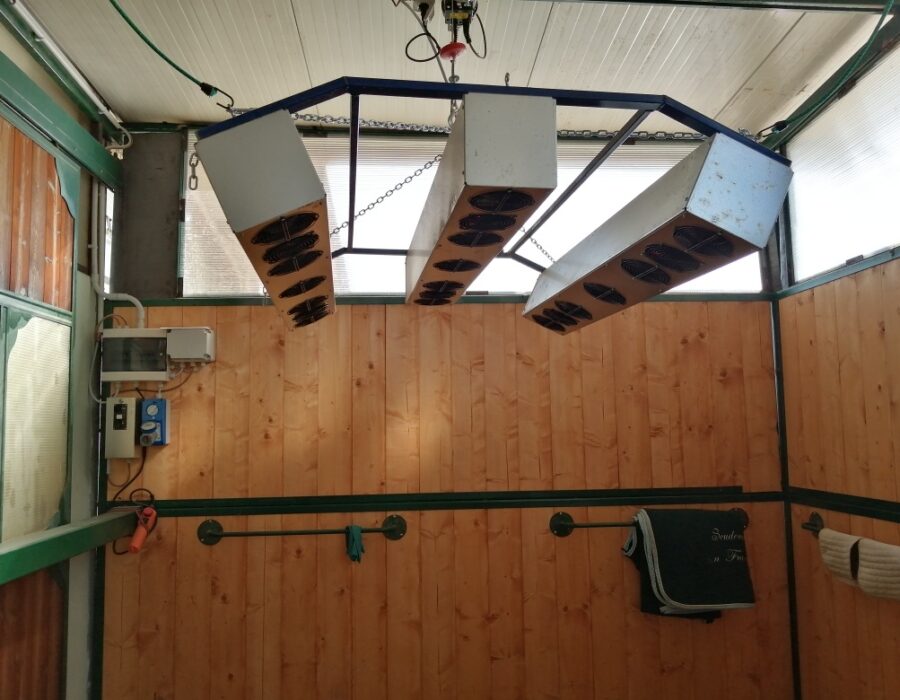 Lampada solarium per cavalli